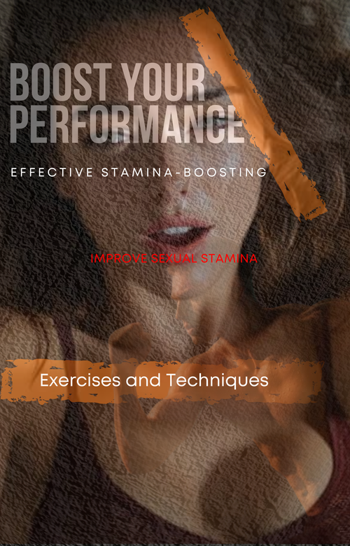 PERFORMANCE BOOSTER GUIDE